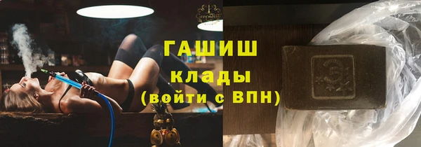 прущие грибы Аркадак
